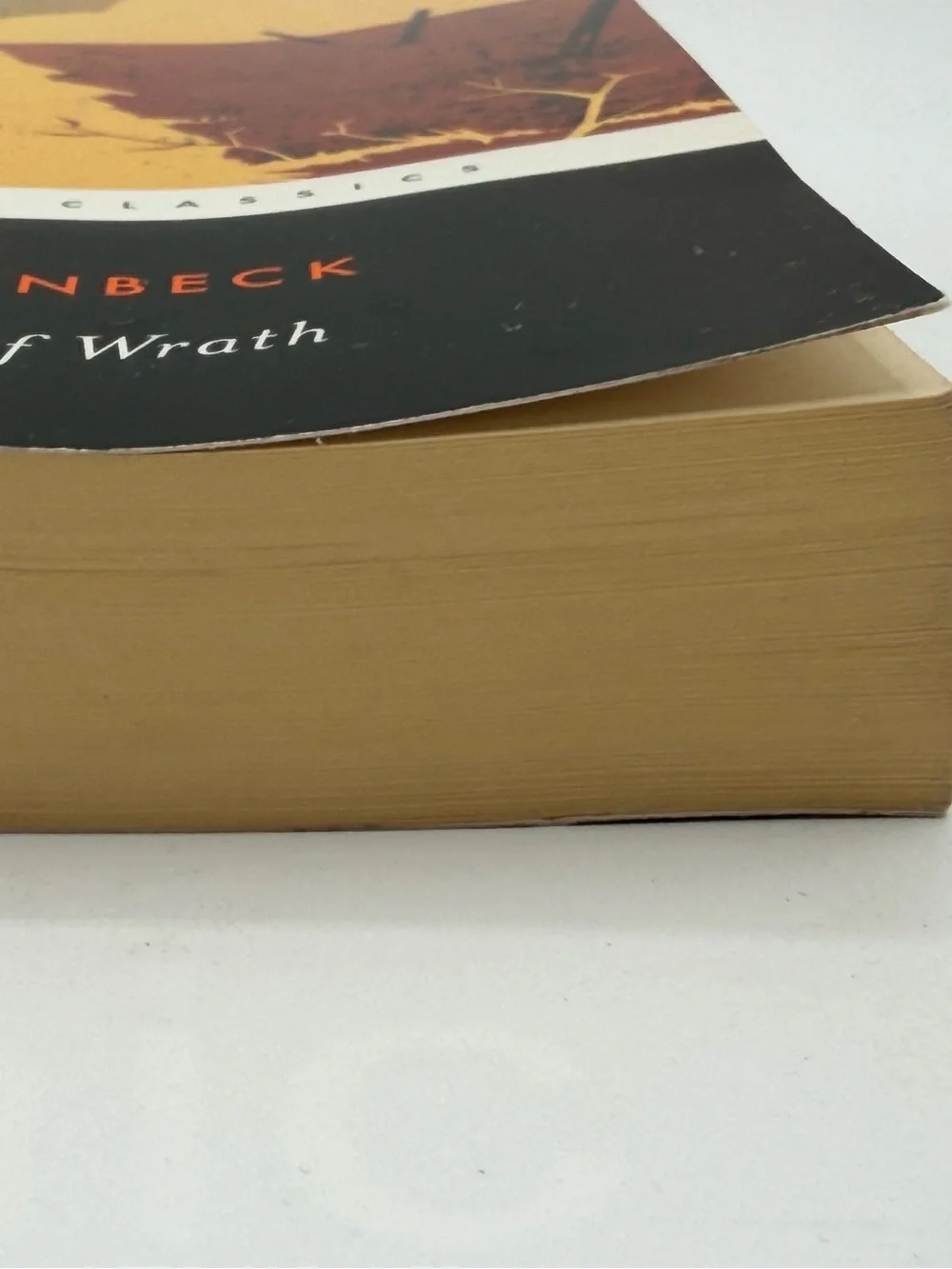 The Grapes of Wrath by John Steinbeck (Paperback Book, 2006)